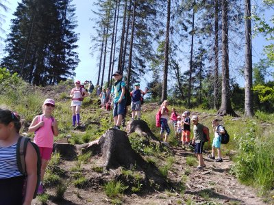 Obrázek 135741 