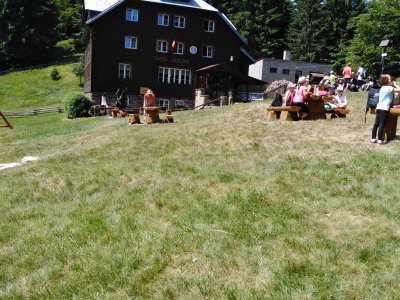 Obrázek 135755 