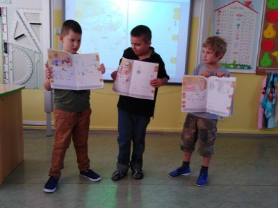 Obrázek 136599 