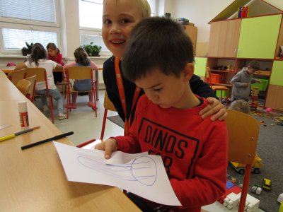 Obrázek 137011 