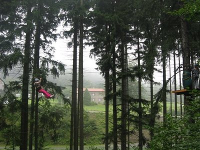 Obrázek 118338 