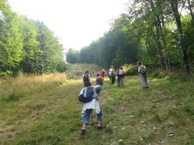 Obrázek 118364 