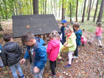 Obrázek 137367 