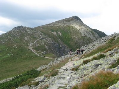Obrázek 118491 