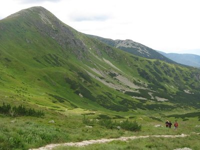 Obrázek 118494 