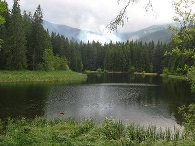 Obrázek 118508 