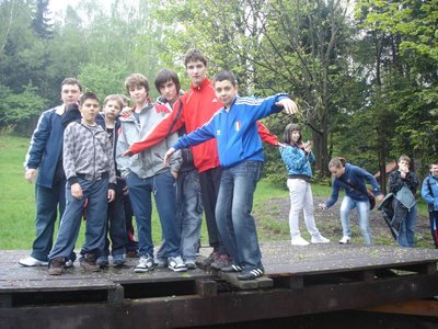 Obrázek 117637 