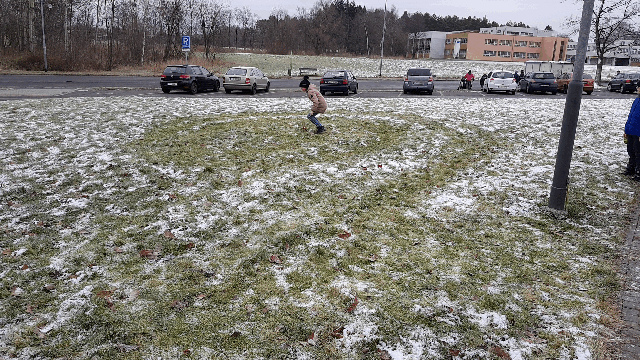 Novoroční bilancování