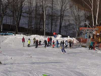 Obrázek 138505 
