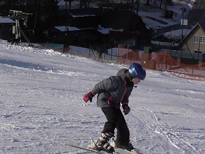 Obrázek 138503 