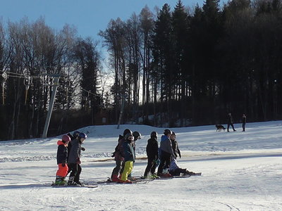 Obrázek 138516 