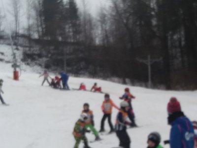 Obrázek 138701 