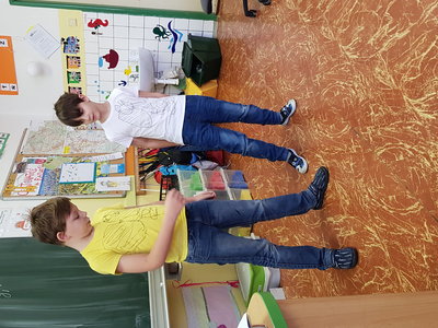 Obrázek 138803 