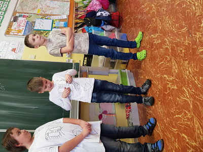 Obrázek 138804 