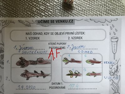 Obrázek 138966 