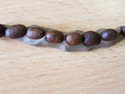 Obrázek 139309 