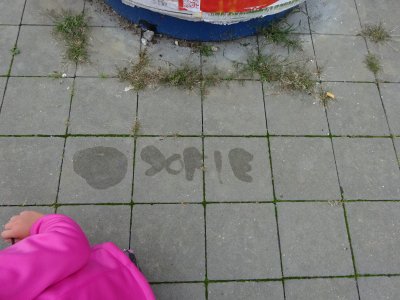 Obrázek 139536 