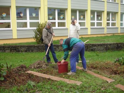 Obrázek 116040 