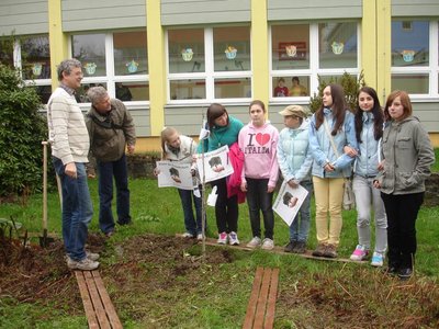 Obrázek 116042 