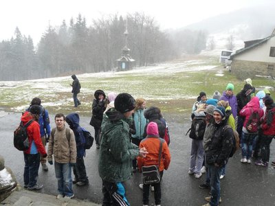 Obrázek 116161 