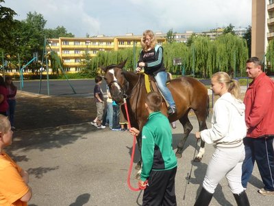 Obrázek 115291 