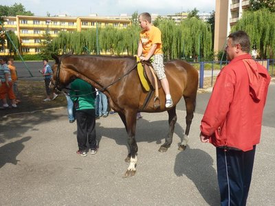 Obrázek 115292 
