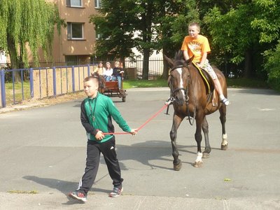 Obrázek 115293 