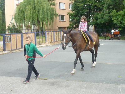 Obrázek 115294 