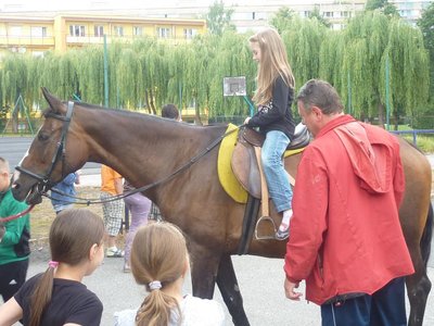 Obrázek 115297 
