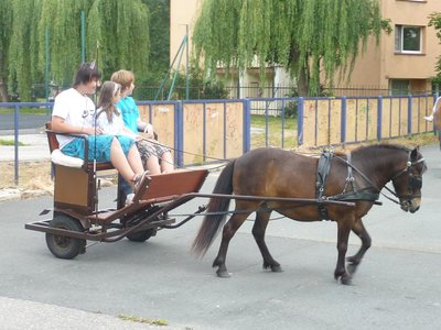 Obrázek 115299 