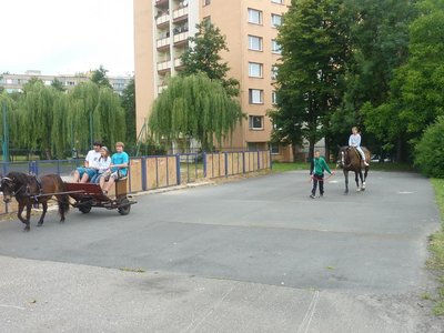 Obrázek 115300 
