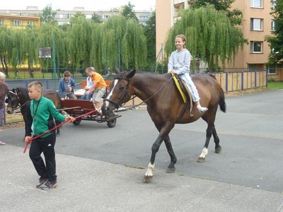 Obrázek 115301 
