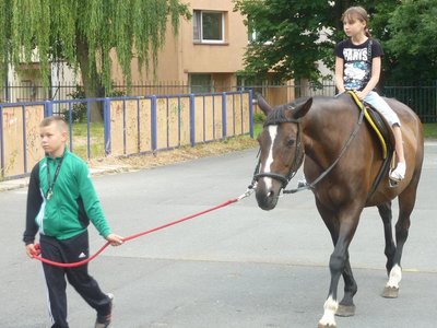 Obrázek 115302 