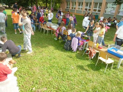 Obrázek 115313 