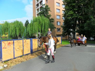 Obrázek 115317 