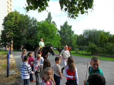 Obrázek 115320 