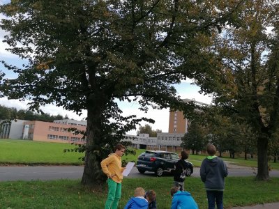 Obrázek 140057 
