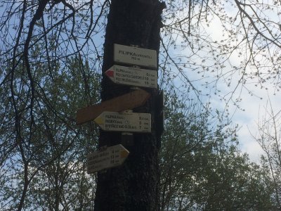 Obrázek 140708 