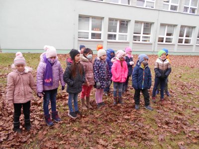 Obrázek 141033 