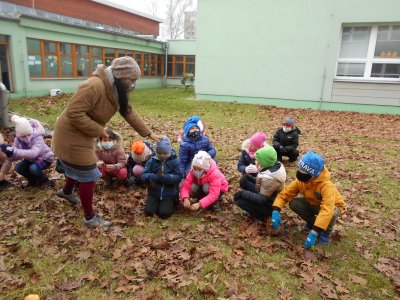 Obrázek 141031 