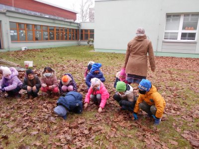 Obrázek 141032 