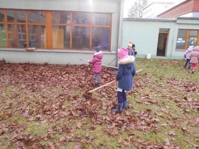 Obrázek 141034 