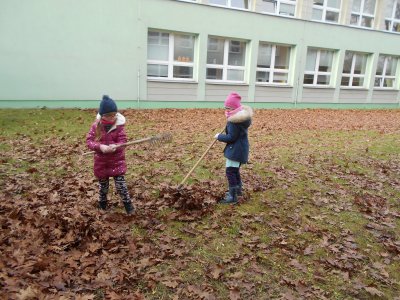 Obrázek 141041 