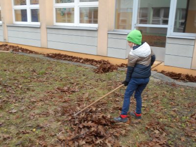 Obrázek 141036 