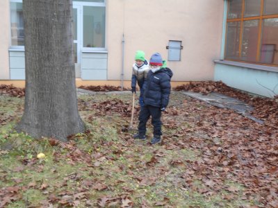 Obrázek 141040 