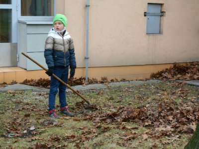 Obrázek 141042 