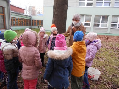 Obrázek 141050 