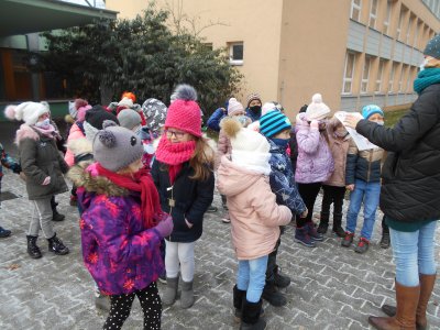 Obrázek 141169 