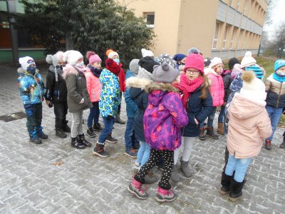 Obrázek 141170 