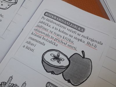 Obrázek 141267 